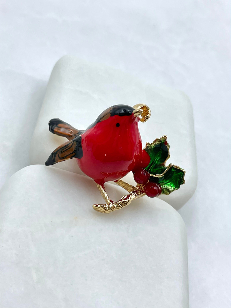 Kırmızı Kuş Broş Renkli