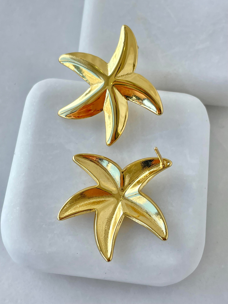 Çelik Deniz Yıldızı Küpe Gold