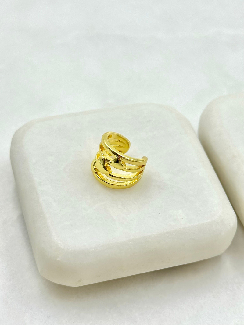 Kalp Model Dört Sırak Kıkırdak Küpe Gold