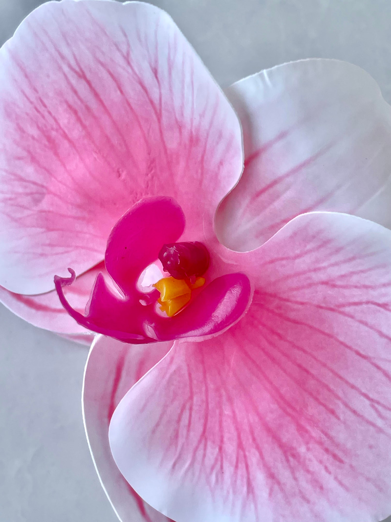 Pembe Orkide Mandal Toka
