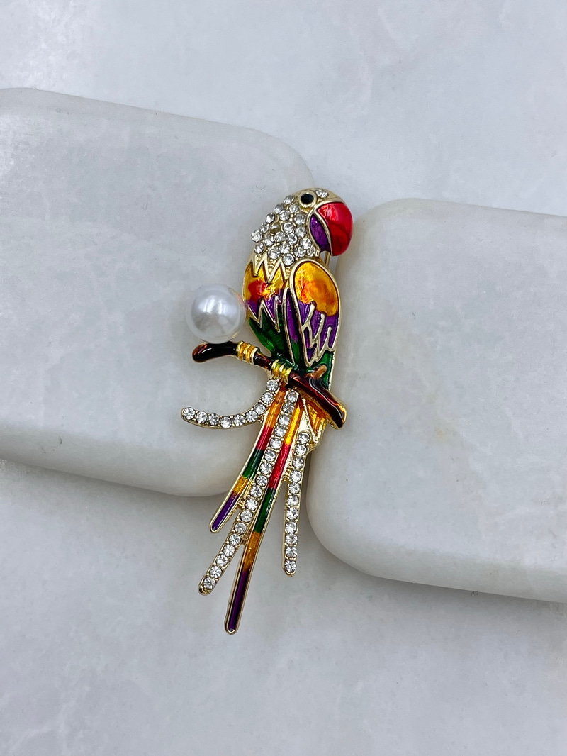 Papağan Broş Renkli