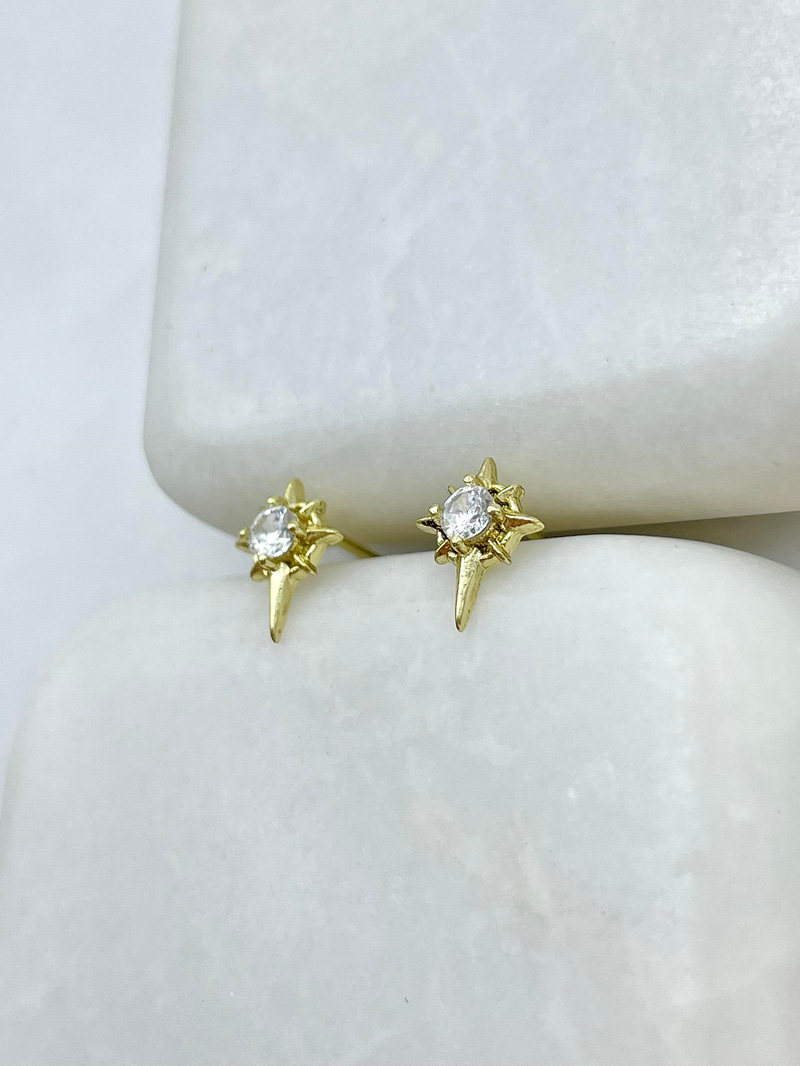 Özel Seri Minimal Kuzey Yıldızı Küpe Gold
