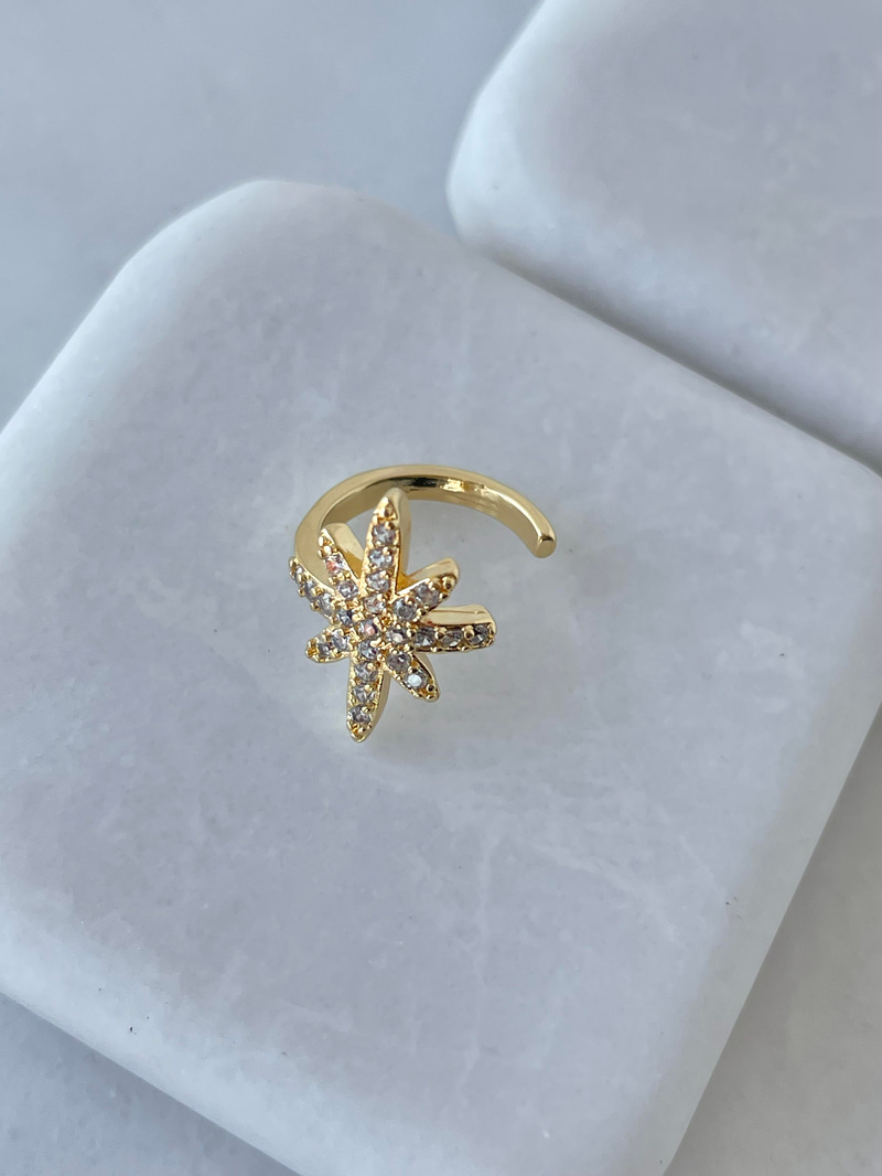 Altın Kaplama Gömme Taşlı Kuzey Yıldızı Kıkırdak Küpe Gold