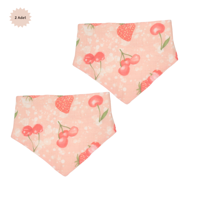 Salya Önlüğü Fruity 2'li