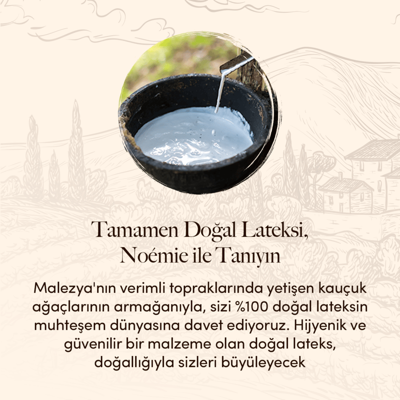 Doğal Lateks nereden gelir