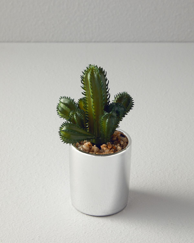 Cactus Vazolu Yapay Çiçek Silver