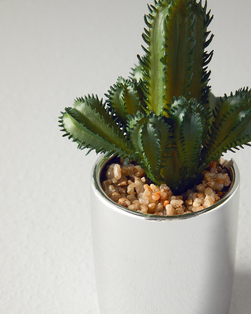 Cactus Vazolu Yapay Çiçek Silver