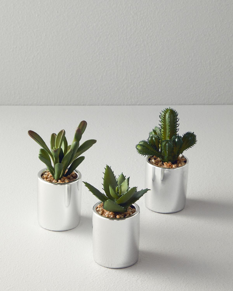 Cactus Vazolu Yapay Çiçek Silver