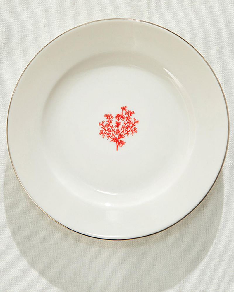 Coral Bone Porselen Pasta Tabağı 17 cm Beyaz - Kırmızı
