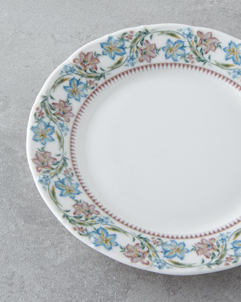 Elegant Porselen 4'lü Pasta Seti 19 cm Renkli