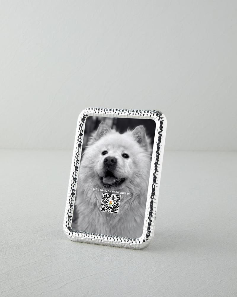 Esta Çerçeve Silver