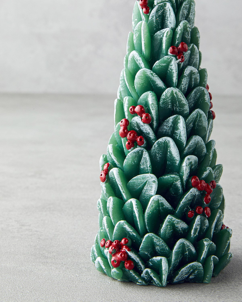 Pine Tree Mum 20 cm Yeşil
