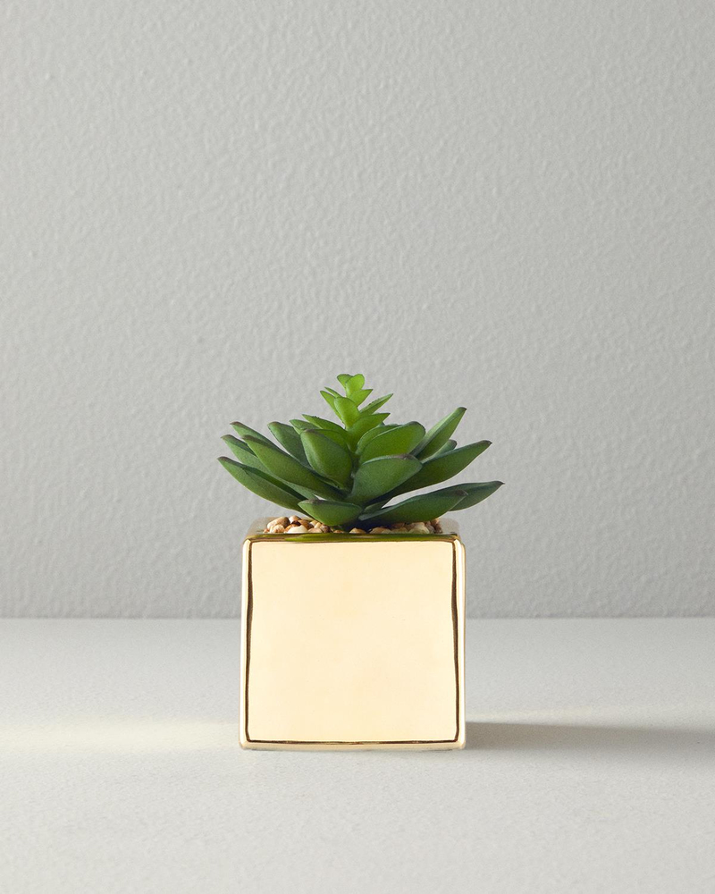Succulent Vazolu Yapay Çiçek 12 cm Gold