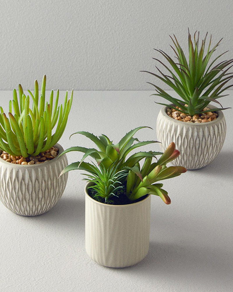 Succulent Vazolu Yapay Çiçek Gri