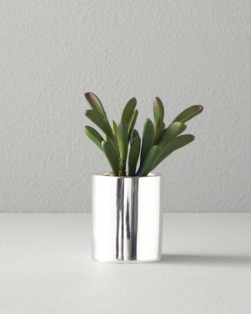 Succulent Vazolu Yapay Çiçek Silver