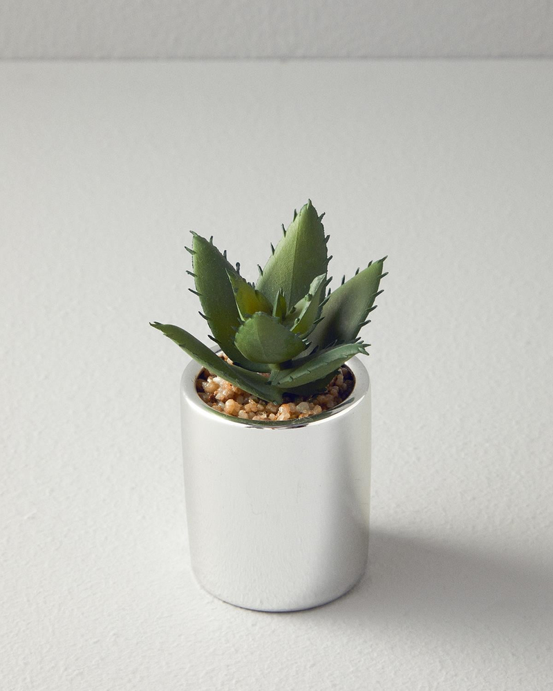 Succulent Vazolu Yapay Çiçek Silver