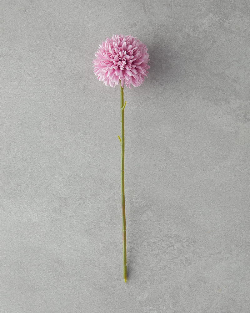 Dandelion Tek Dal Yapay Çiçek Gül Kurusu