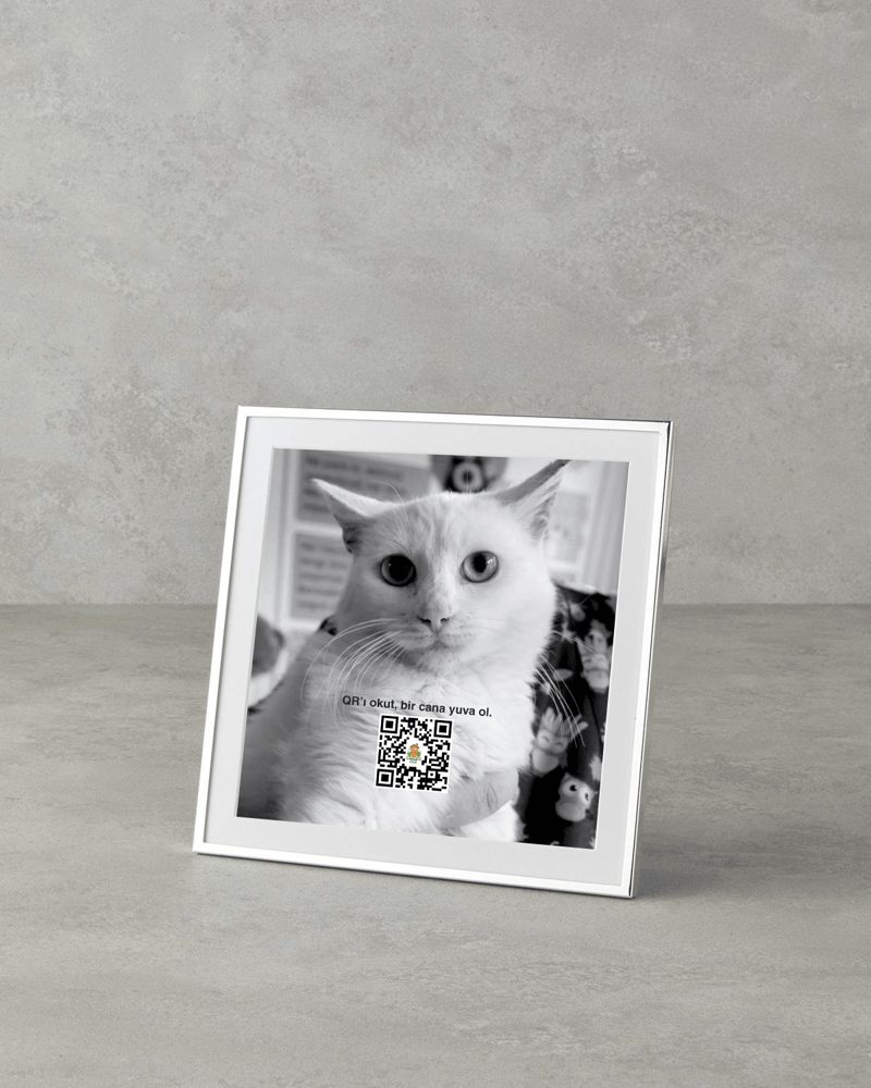 Dorothy Metal Çerçeve Silver