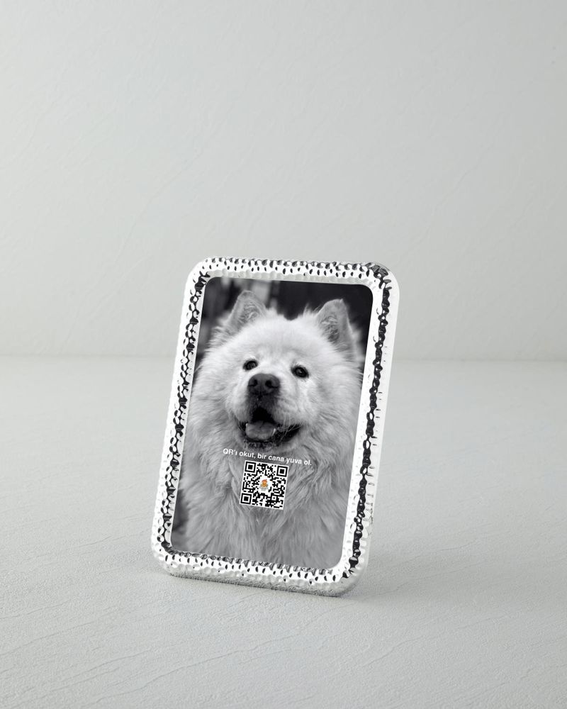 Esta Çerçeve Silver