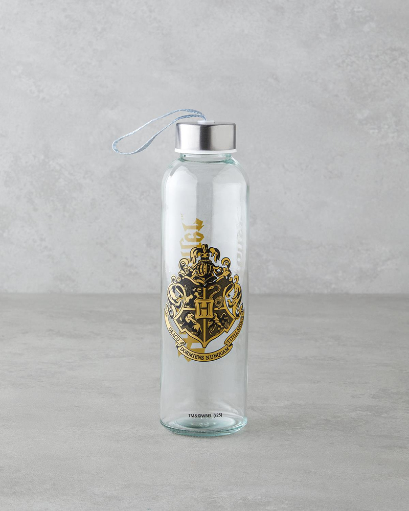 Harry Potter Cam Lisanslı Şişe 500 ml Renkli