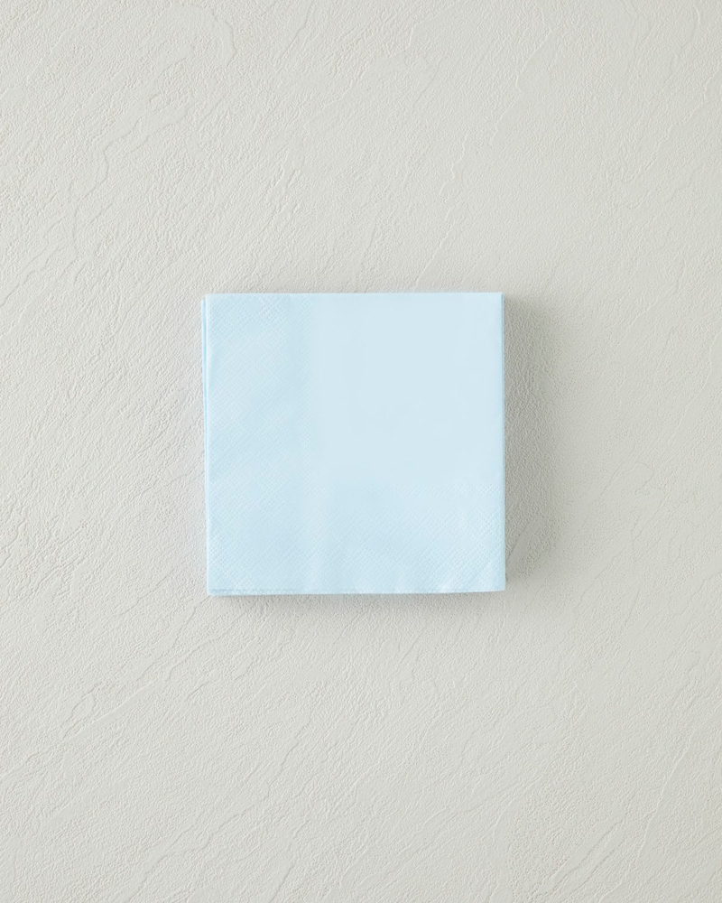 Plaine Kağıt 20'li Kağıt Peçete 24x24 cm Mavi