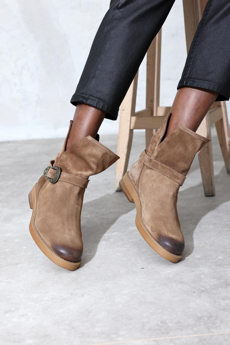 Bal Salaş Bot 125212