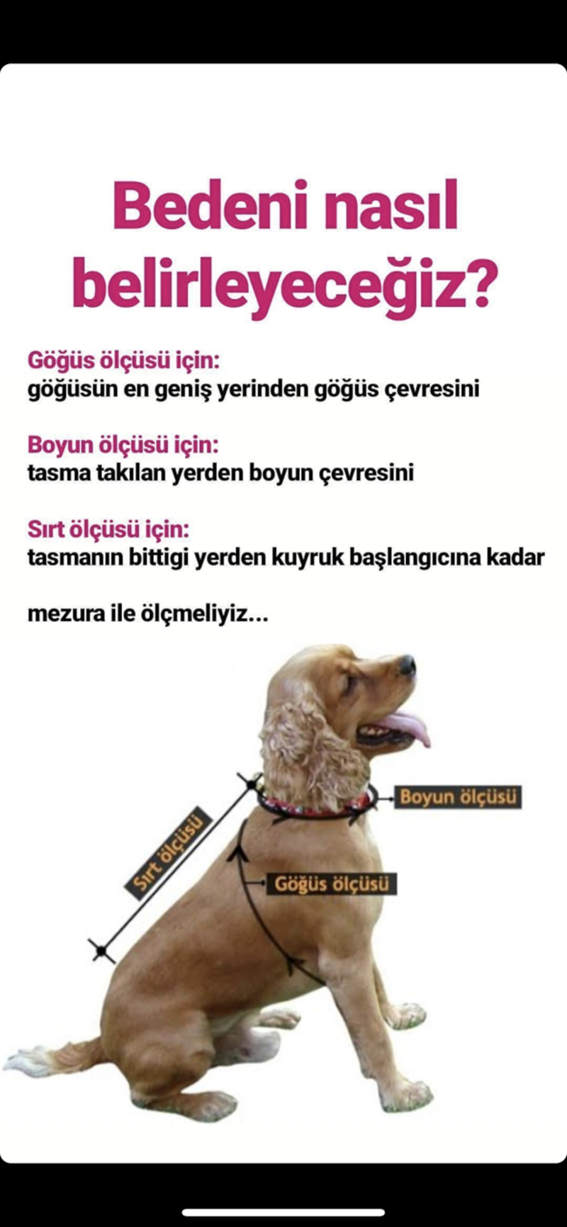 Kırmızı Panda Kulaklı Peluş-P2 