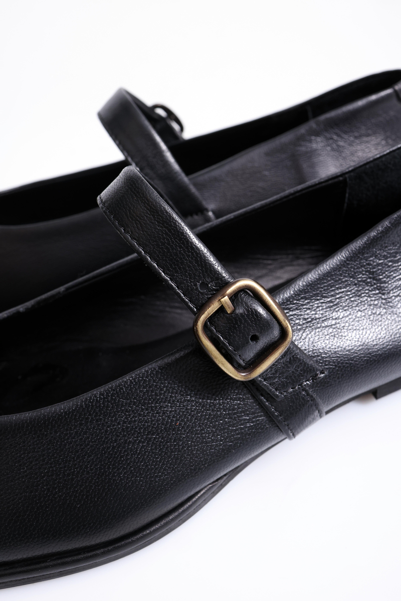 Siyah Küt Burun Babet 