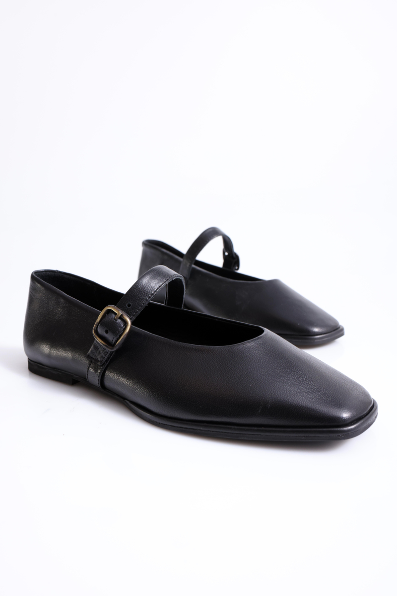 Siyah Küt Burun Babet 