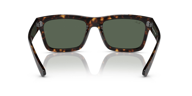RAY-BAN 4396 135971 54
