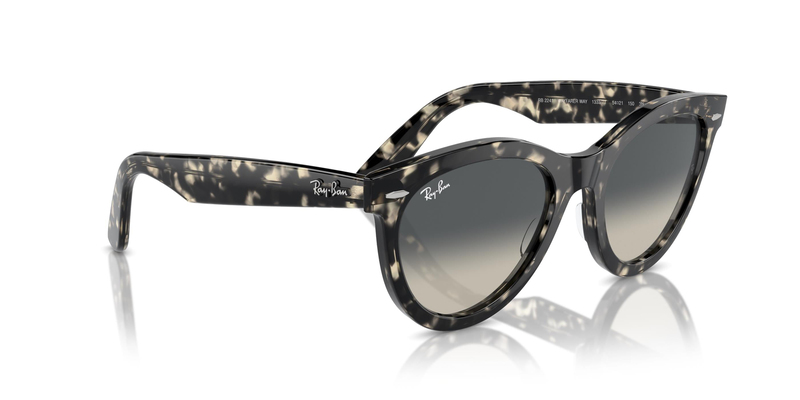 RAY-BAN 2241 133371 54 Unisex Güneş Gözlüğü