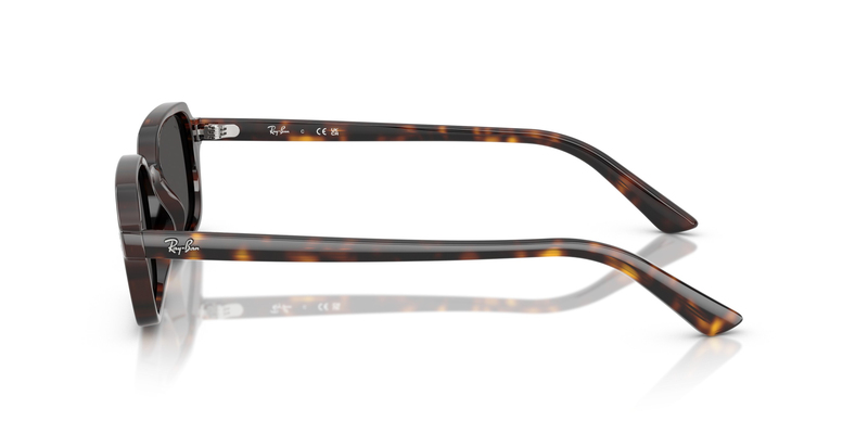 RAY-BAN 4455 135987 49