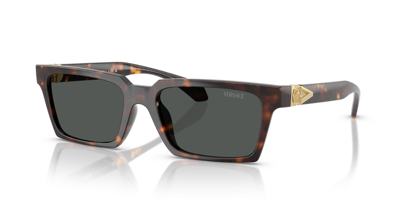 VERSACE 4490U 108/87 55