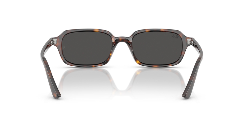 RAY-BAN 4455 135987 49