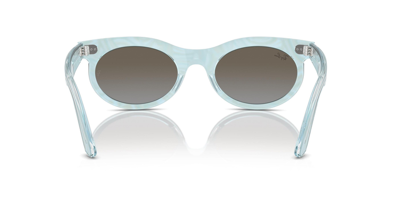 RAY-BAN 2242 138596 53 Unisex Güneş Gözlüğü