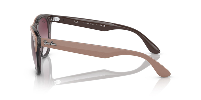 RAY-BAN 4471 66338H 54