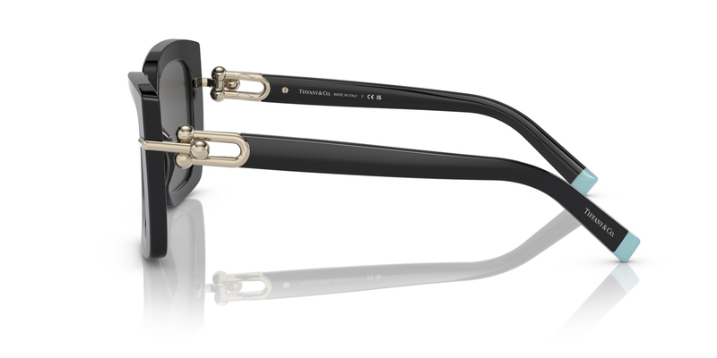 TİFFANY SUNGLASSES 0TF4199 8001S4 53