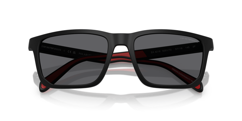 EMPORIO ARMANI 4219 5001T3 57