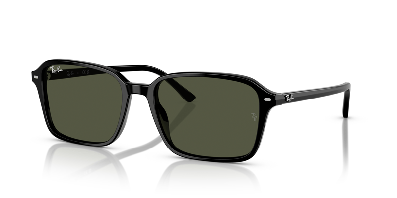 RAY-BAN 0RB2231 901/31 56