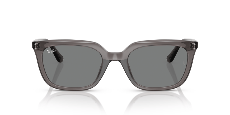 RAY-BAN 0RB4439D 667587 54