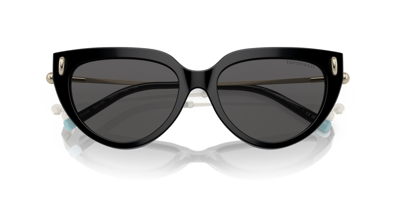 TİFFANY SUNGLASSES 0TF4195 8001S4 54