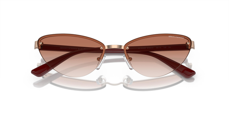 ARMANI EXCHANGE 0AX2049S 610313 58