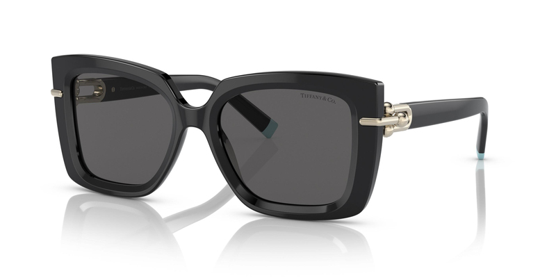 TİFFANY SUNGLASSES 0TF4199 8001S4 53