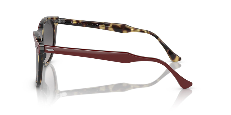 RAY-BAN 0RB2398 1377M3 53