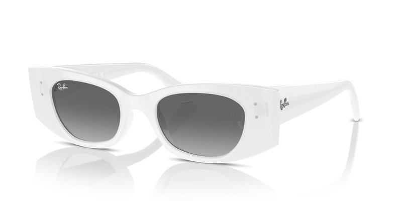 RAY-BAN 0RB4427 675911 49