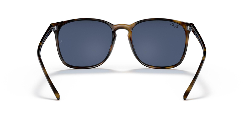 RAY-BAN 4387 710/80 56 Güneş Gözlüğü