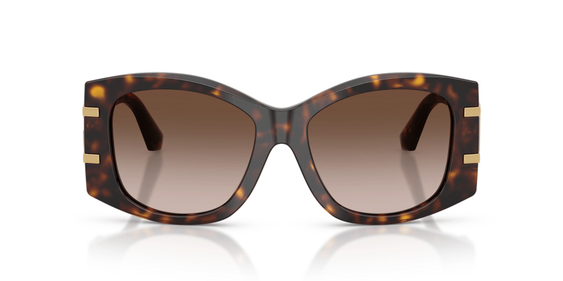 DOLCE & GABBANA 4501 502/13 54
