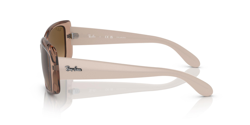 RAY-BAN 4389 6644M2 58