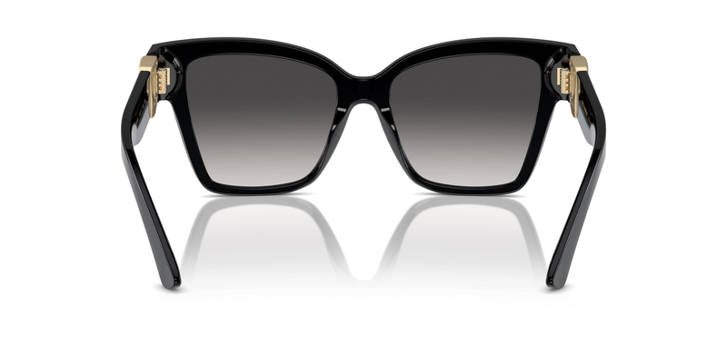 DOLCE & GABBANA 0DG4470 501/8G 54