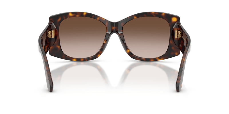 DOLCE & GABBANA 4501 502/13 54